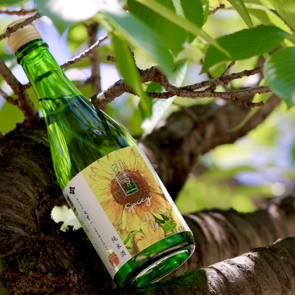 天寶一 SPICY 夏潤 – 天寶一蔵直オンラインショップ